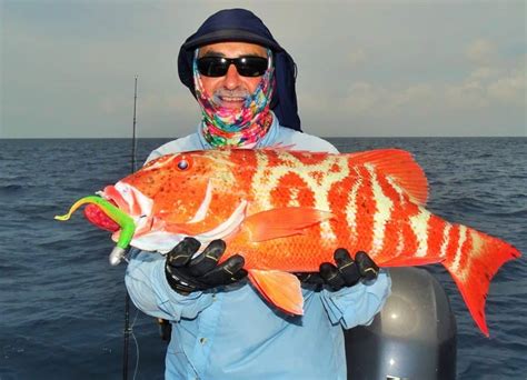 atlantic reef game fish